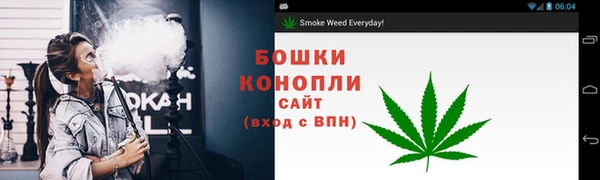 скорость Вяземский