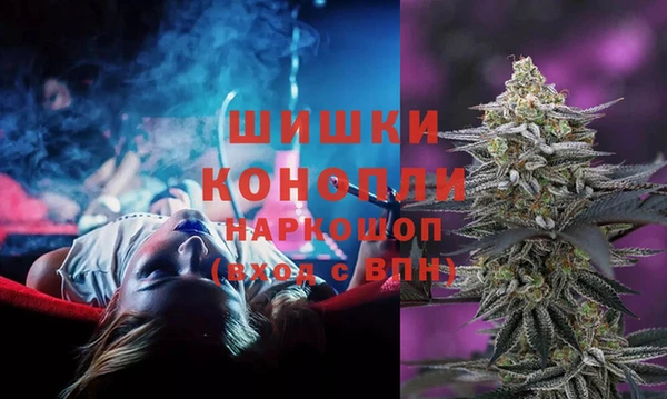 скорость Вяземский