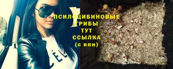 скорость Вяземский
