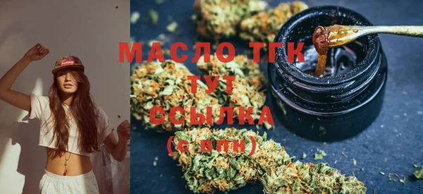 скорость Вяземский