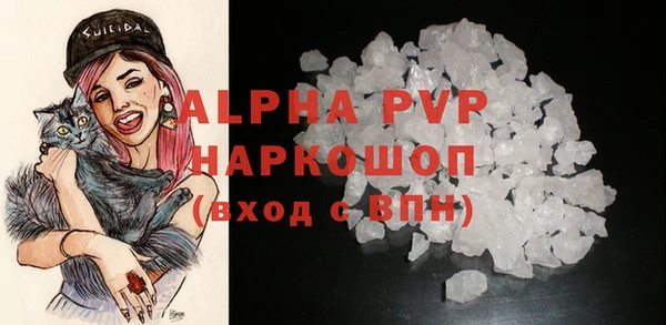 скорость Вяземский