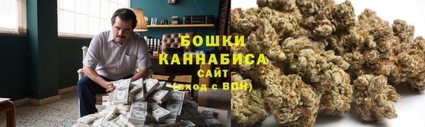 гидропоника Вязьма
