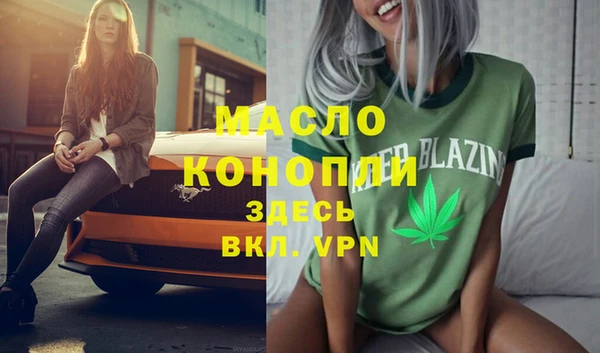 скорость Вяземский