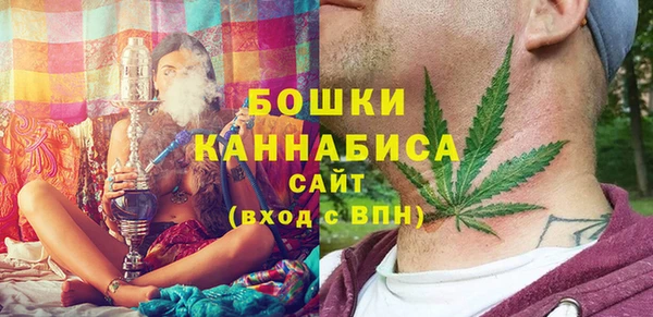 скорость Вяземский