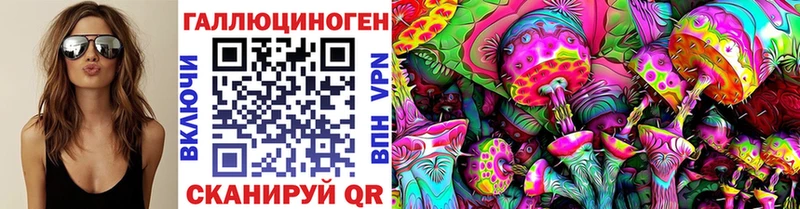 Псилоцибиновые грибы Cubensis  блэк спрут как зайти  Яранск 